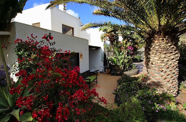 Appartement Casa Roco III