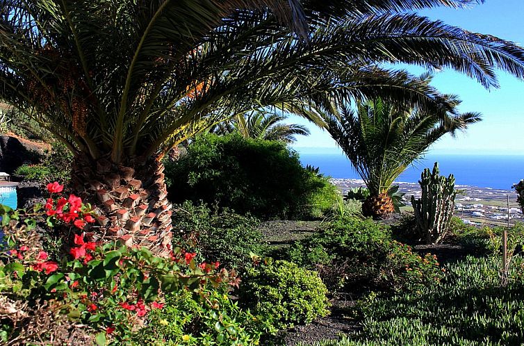 Appartement Casa Roco III