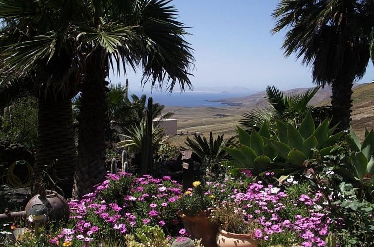 Vakantiehuis Casa Feliz