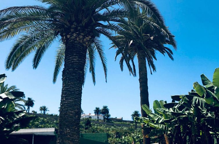 Vakantiehuis Villa los palmitos Familiäre Privatvilla mit P