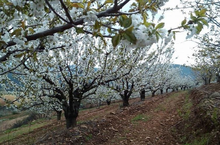 Appartement Wohnung in Sotoserrano mit Terrasse und Garten