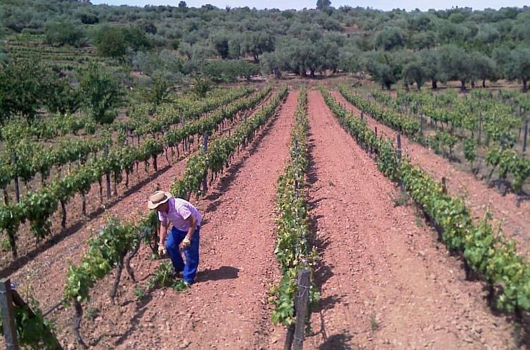 Appartement El Mirador del Soto