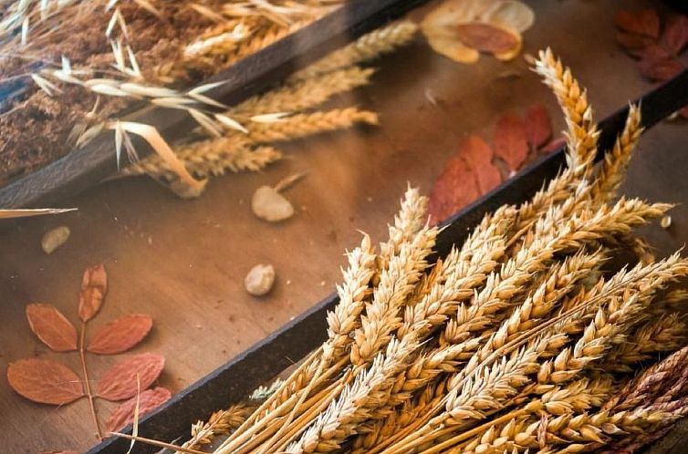 Vakantiehuis Rural House in the mountain of León