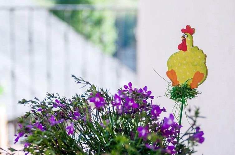 Vakantiehuis Rural House in the mountain of León