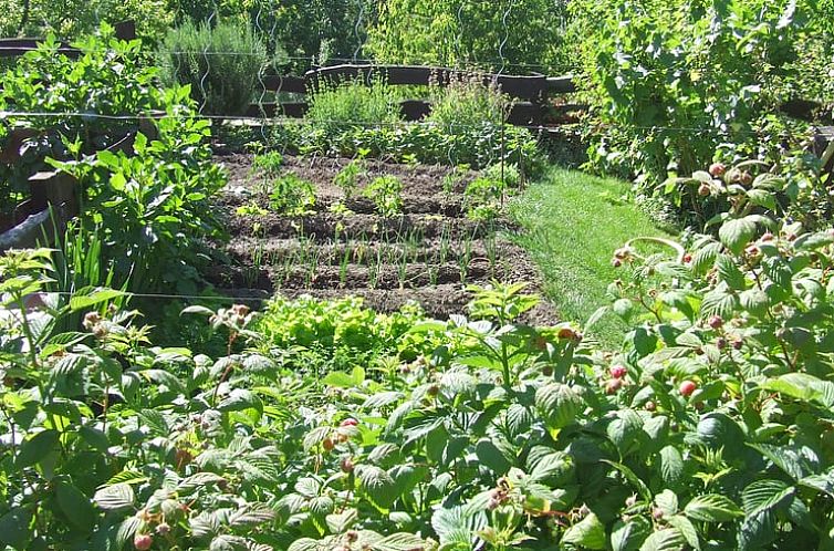 Huisje in Villanueva Del Conde