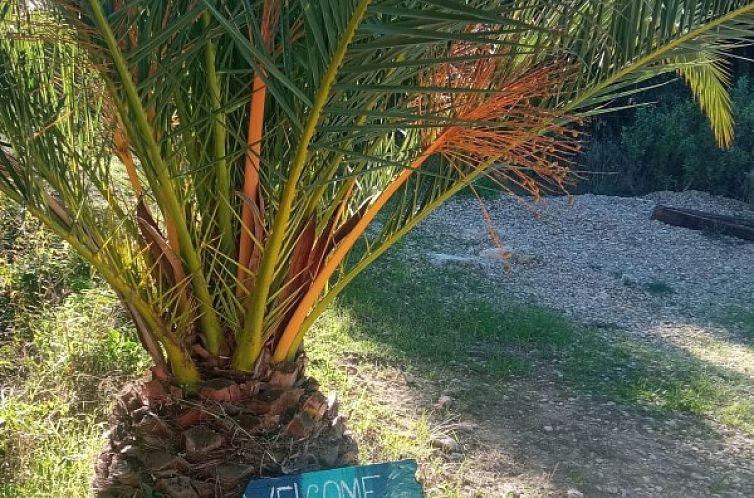 Forest Edge in Tivissa, Katalonien, heisst Sie mit einem Schild zwischen gruenen Palmen willkommen.