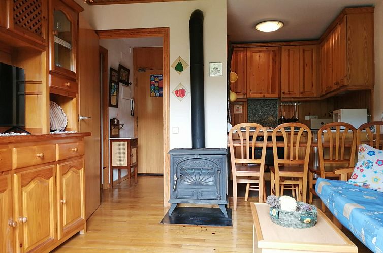 Appartement Wohnung mit Südlage Falcó 17 Vall de Boí
