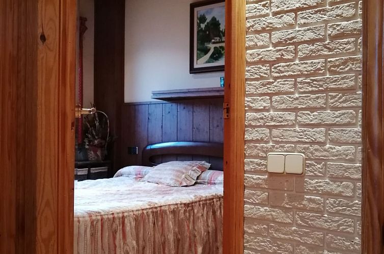 Appartement Gemütliche Wohnung Falcó 2 Vall de Boí
