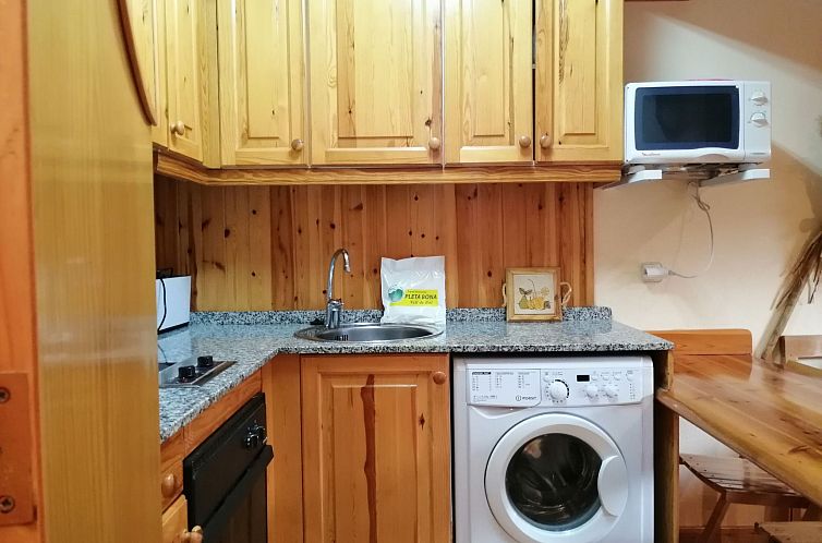 Appartement Gemütliche Wohnung Falcó 2 Vall de Boí