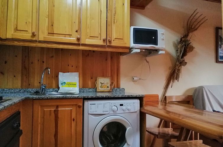 Appartement Gemütliche Wohnung Falcó 2 Vall de Boí