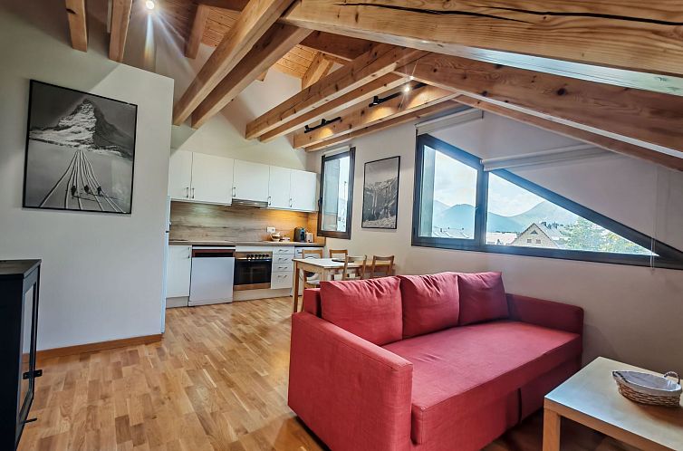 Appartement Aüt 3 Dachgeschosswohnung in Vall de Boí