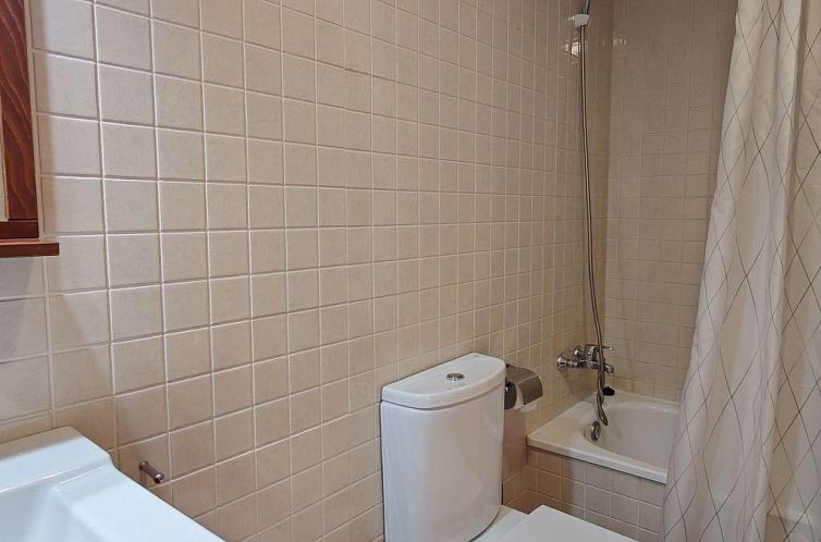 Appartement Aüt 3 Dachgeschosswohnung in Vall de Boí