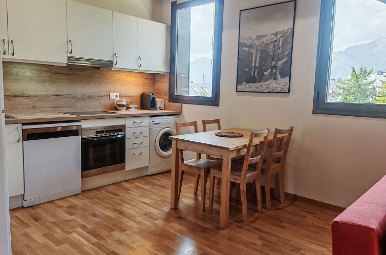 Appartement Aüt 3 Dachgeschosswohnung in Vall de Boí