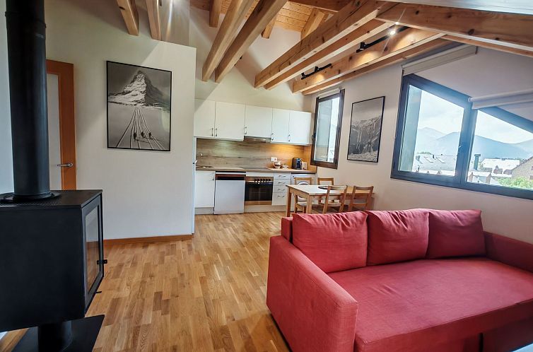 Appartement Aüt 3 Dachgeschosswohnung in Vall de Boí