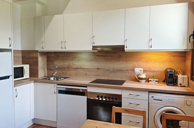Appartement Aüt 3 Dachgeschosswohnung in Vall de Boí