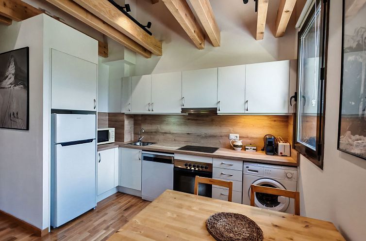 Appartement Aüt 3 Dachgeschosswohnung in Vall de Boí