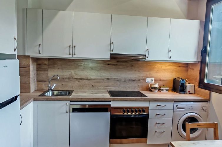 Appartement Aüt 3 Dachgeschosswohnung in Vall de Boí