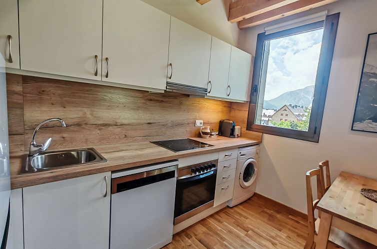 Appartement Aüt 3 Dachgeschosswohnung in Vall de Boí