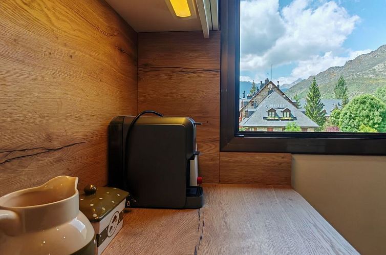 Appartement Aüt 3 Dachgeschosswohnung in Vall de Boí