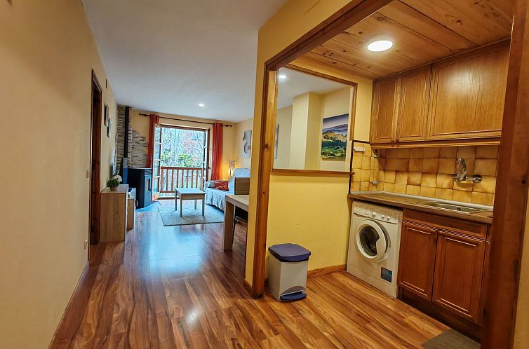 Appartement Wohnung mit Garten Isard 1 Vall de Boí