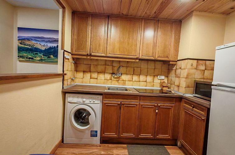 Appartement Wohnung mit Garten Isard 1 Vall de Boí