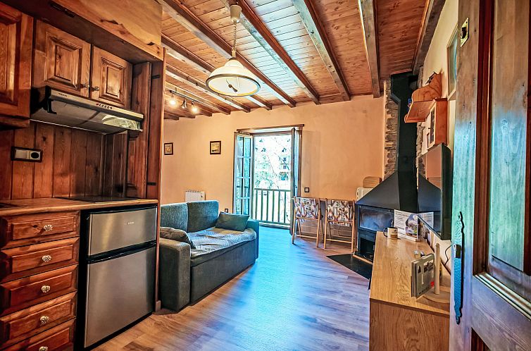 Appartement Studio mit Kamin Cosmos 3 Vall de Boí