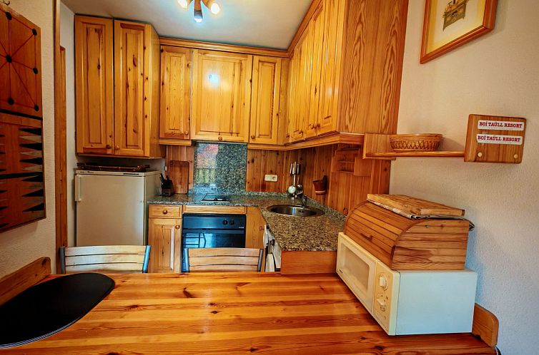 Appartement Wohnung mit Balkon Falcó 14 Vall de Boí