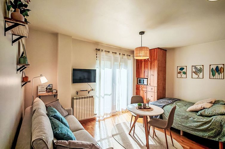 Appartement Studio mit Balkon und Licht Erta 11 Vall de Boí
