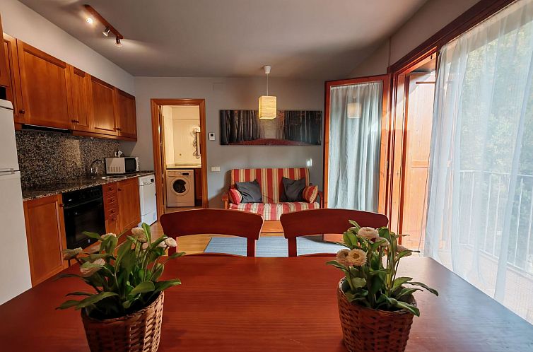 Appartement Wohnung Erta 1 8km vom Skigebiet Vall de Boí