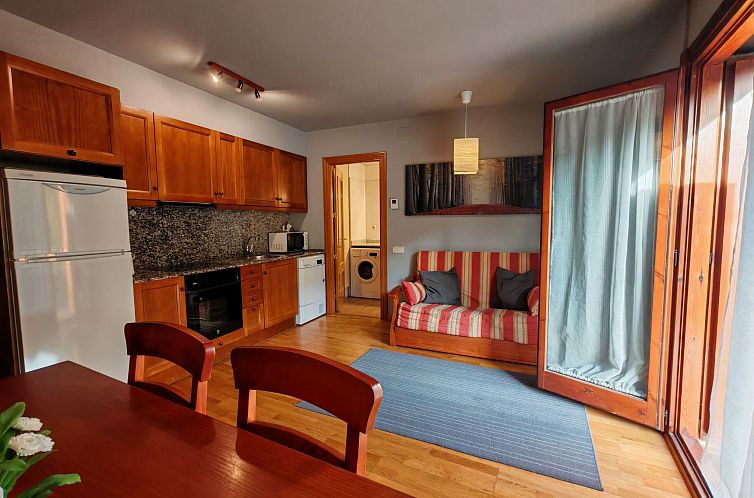 Appartement Wohnung Erta 1 8km vom Skigebiet Vall de Boí