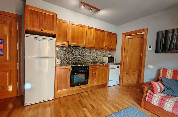 Appartement Wohnung Erta 1 8km vom Skigebiet Vall de Boí