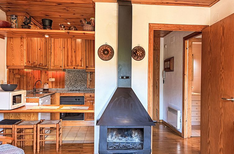 Appartement Wohnung mit Kamin Falcó 3 Vall de Boí