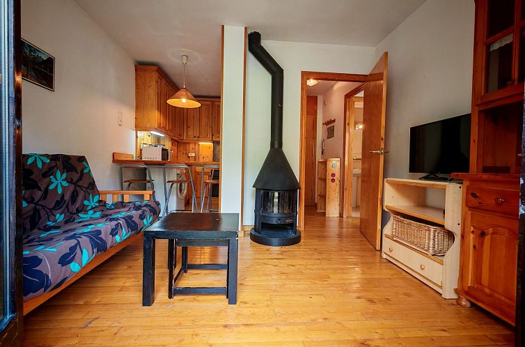 Appartement Wohnung in Nordlage Falcó 12 Vall de Boí