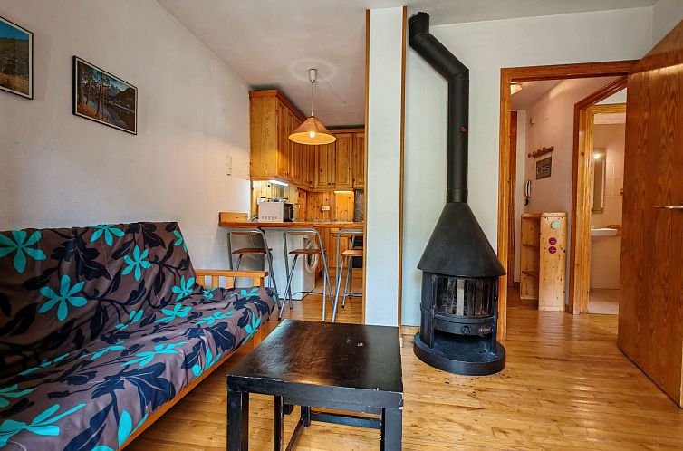 Appartement Wohnung in Nordlage Falcó 12 Vall de Boí