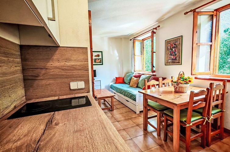 Appartement Kleines Studio Cuc 7 Vall de Boí