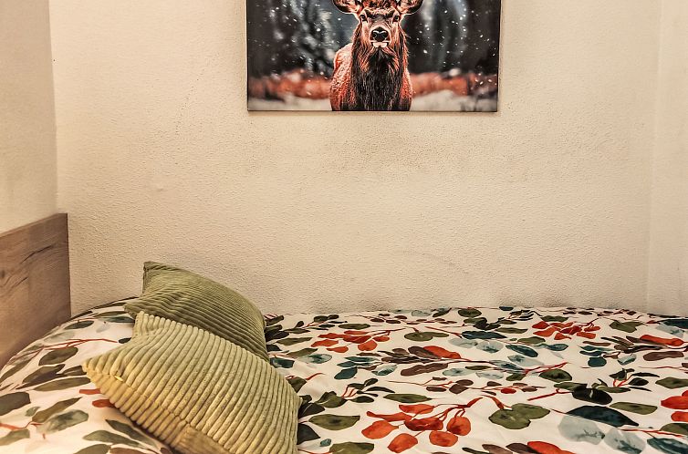 Appartement Kleines Studio Cuc 7 Vall de Boí
