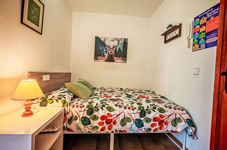 Appartement Kleines Studio Cuc 7 Vall de Boí