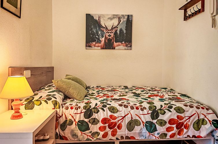 Appartement Kleines Studio Cuc 7 Vall de Boí