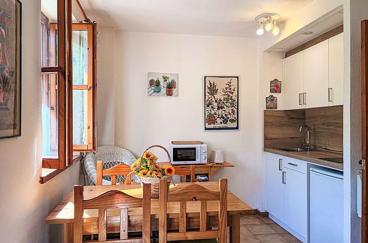Appartement Kleines Studio Cuc 7 Vall de Boí