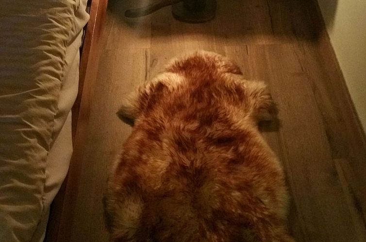 Appartement Appartement 'Borredà' mit Kaminofen