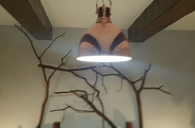 Appartement Appartement 'Borredà' mit Kaminofen