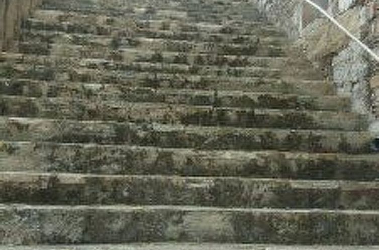 Appartement Wohnung "Stockwerk 1" mit Balkon