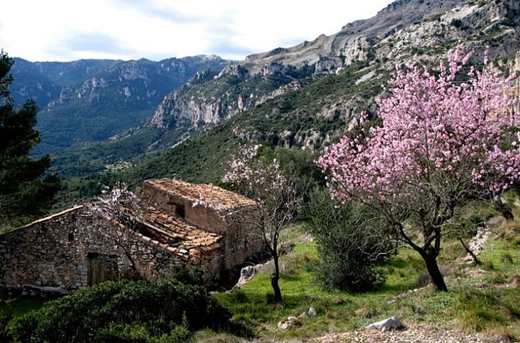 Vakantiehuisje in El Perelló