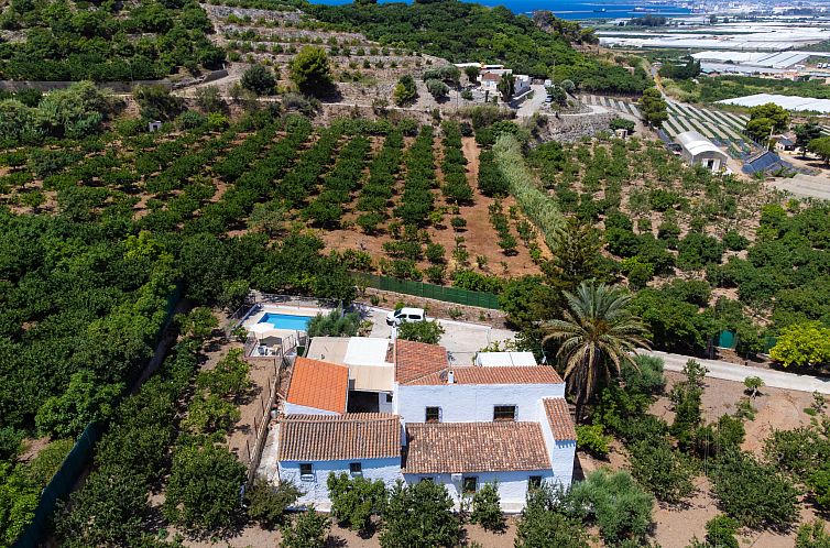 Unterkunft 1483607 - Ferienhaus Costa Almeria / Tropical - Vakantiehuis Villa Estévez