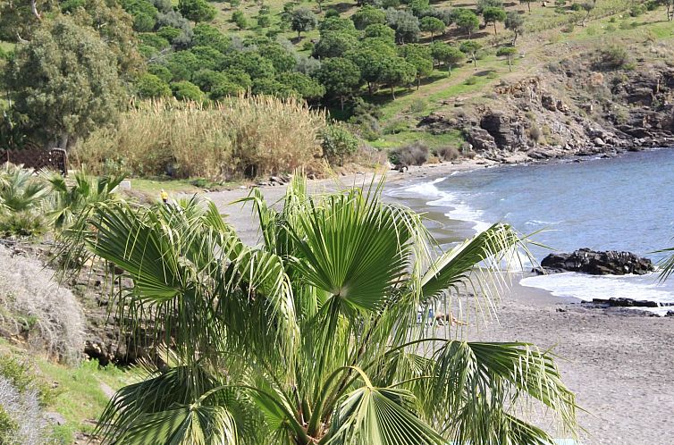 Appartement mit Terrasse, Pool und Garten