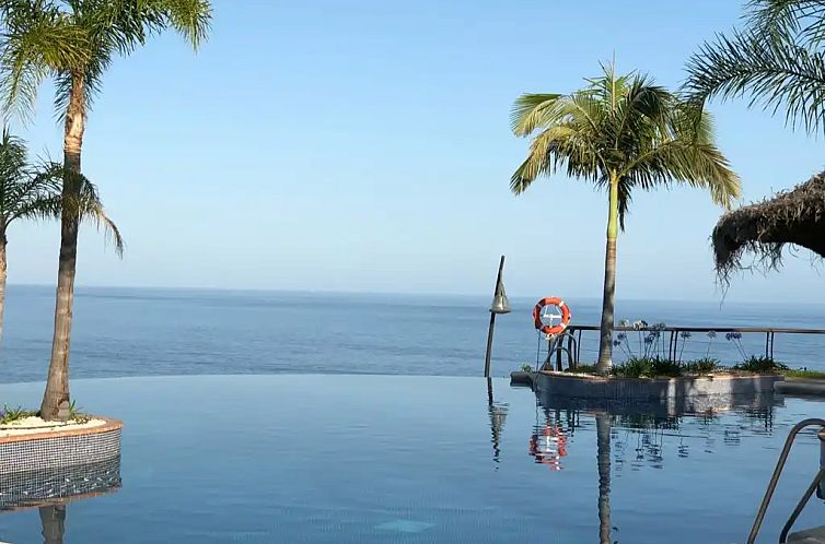 AlmunecarHolidayRentals: Palmeras