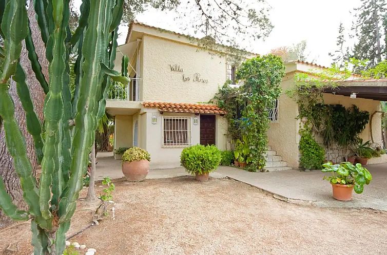 Los Pinos 6