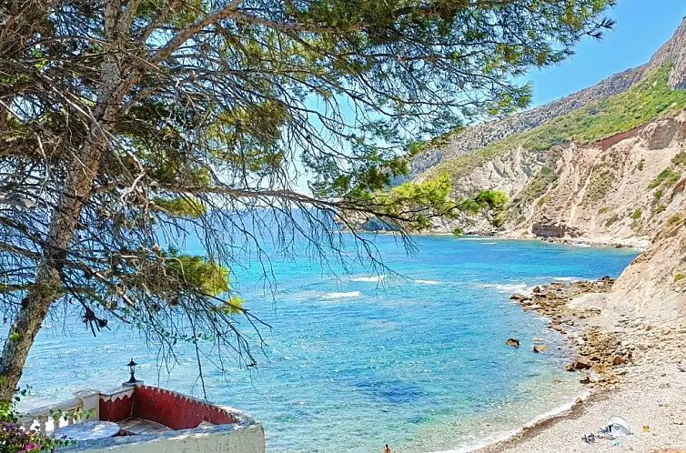 Sol Ifach