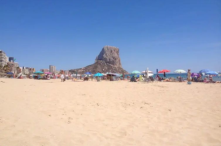 Sol Ifach
