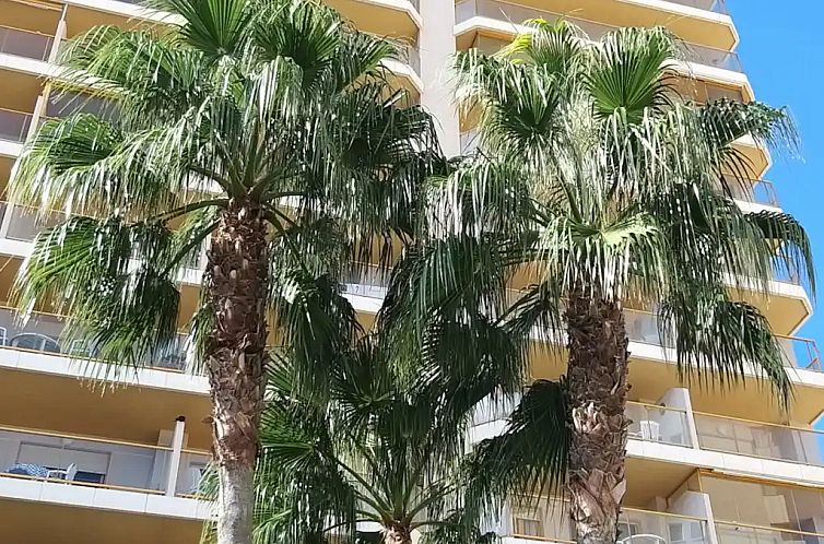 Ambarbeach 25b